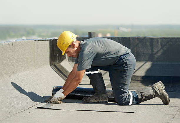 Best Local Insulation Services  in Aquia Harbour, VA